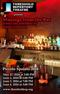 Musings from the Bar 11 x 17 poster